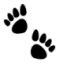 Illustration black animal paws print isolated on white background - vector