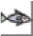 A single colorful fish